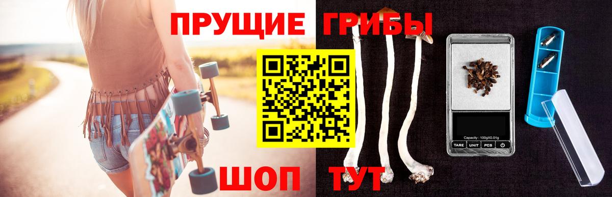 Галлюциногенные грибы мицелий  Вход с VPN  Заинск 